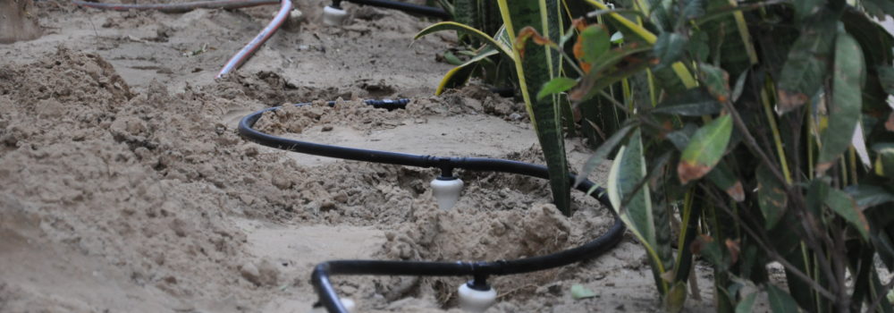 installation of irrigation system in dubai