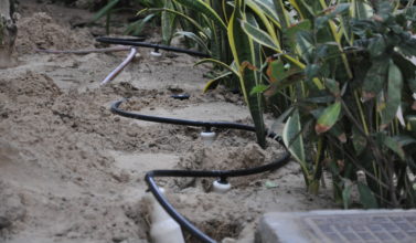 installation of irrigation system in dubai