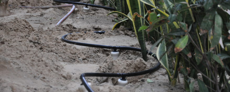 installation of irrigation system in dubai